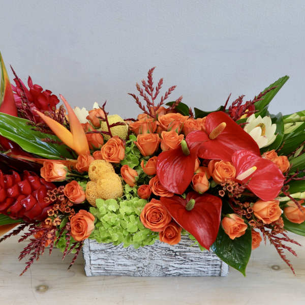 Low tropical centerpiece with orange roses, red anthuriums, and green hydrangeas in a white wooden box