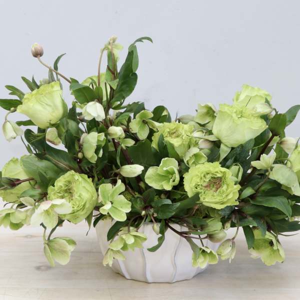 Low arrangement of light green blooms in a white ceramic bowl