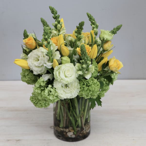 Yellow roses and tulips with white blooms and green hydrangea in a clear glass vase with stones