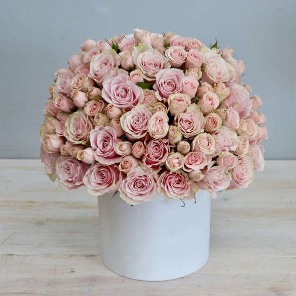 Dome of light pink roses arranged tightly in a round white hatbox-style container
