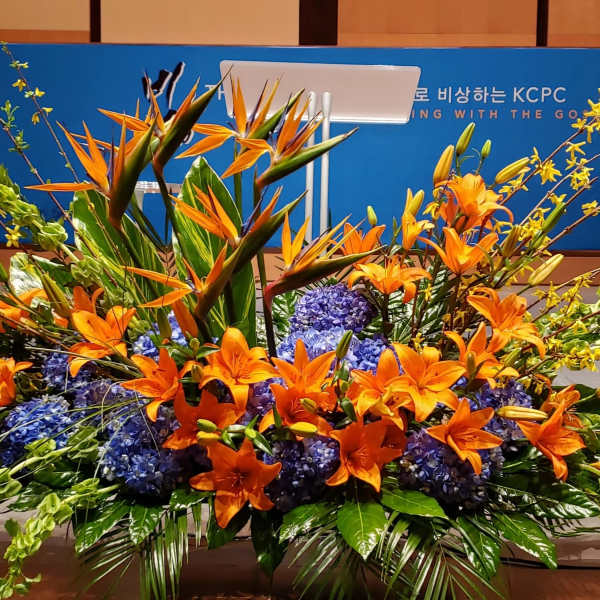 Large stage arrangement of orange lilies, blue hydrangeas, and birds-of-paradise in a sweeping design.