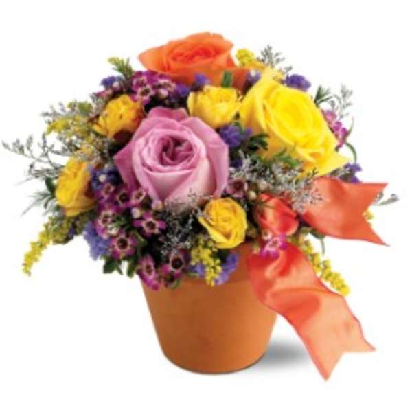 Colorful arrangement of yellow, orange, and lavender roses in a terra cotta pot with orange ribbon