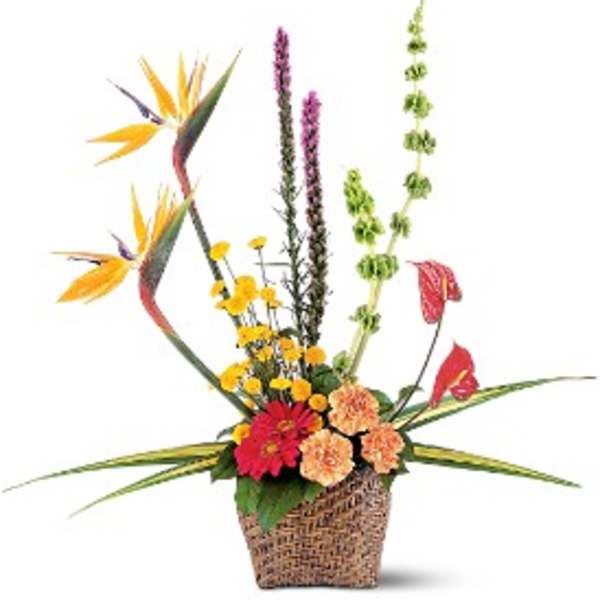 Tropical flower arrangement in a woven basket with bird-of-paradise and mixed blooms