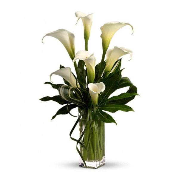 White calla lilies arranged in a clear glass vase