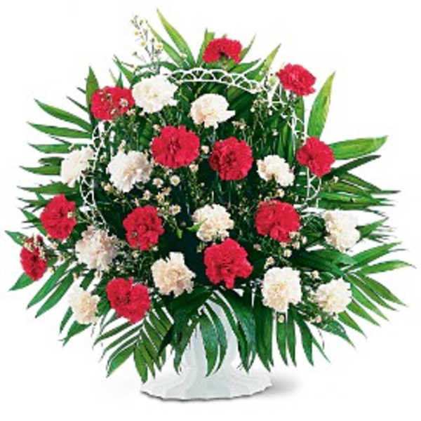 Red and white carnations arranged in a white standing basket