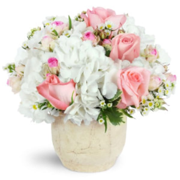 Pink roses and white daisies arranged in a cream vase