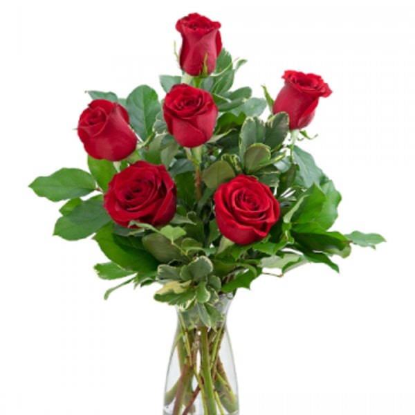 Six red roses in a clear glass vase