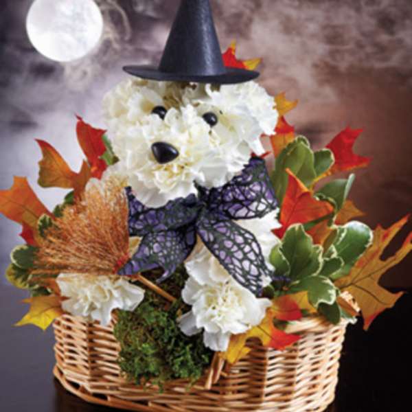 White flower dog arrangement in a wicker basket with a witch hat and autumn leaves