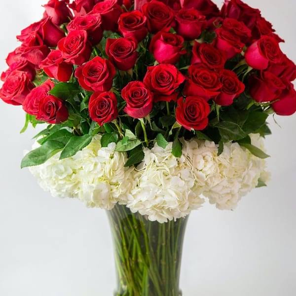 Red roses and white hydrangeas arranged in a clear glass vase