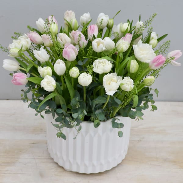 White and pale pink tulips in a white textured ceramic pot with lush foliage