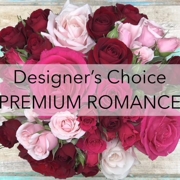 Premium DC Romance $250-$350