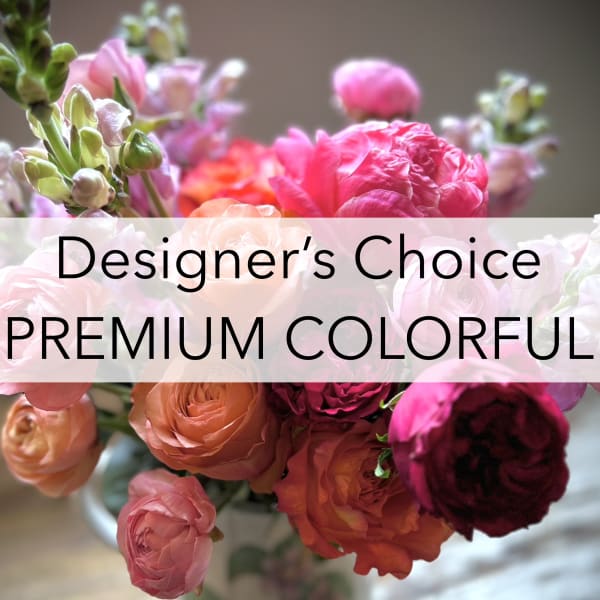 Premium DC Colorful $200-$300