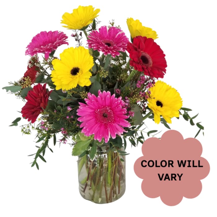 Bright gerbera daisy bouquet in a glass vase with mixed pink, red, and yellow blooms