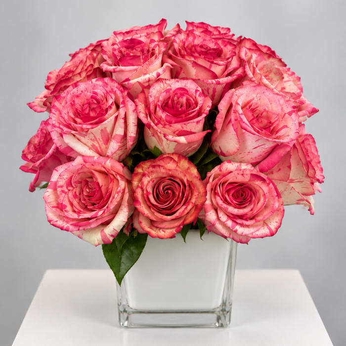 Pink speckled roses arranged in a clear square vase