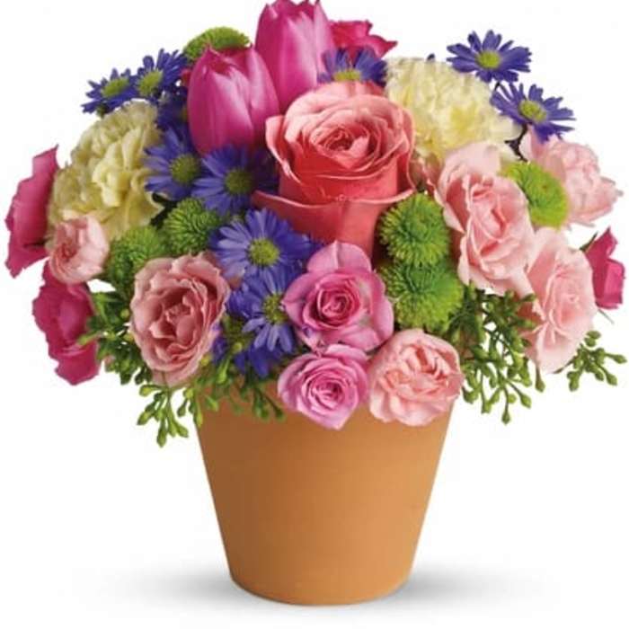 Mixed bouquet of pink roses and purple daisies in a tan pot