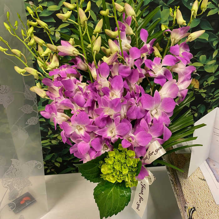 Purple orchids arranged in a white vase with a green hydrangea accent