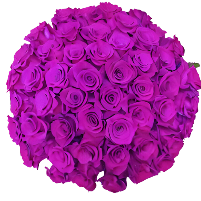 The Luxe Romance - 50 Long-Stem Purple Roses by Donya's Florals