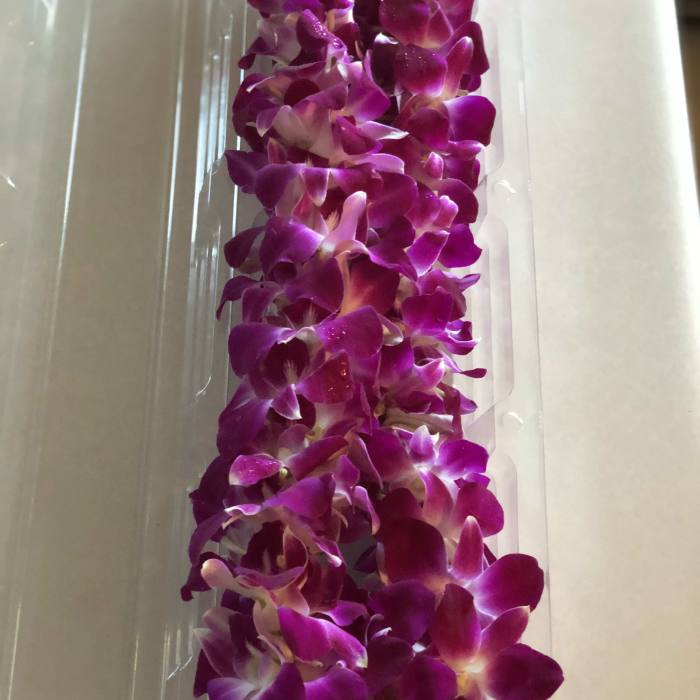 Purple orchid lei in clear plastic packaging