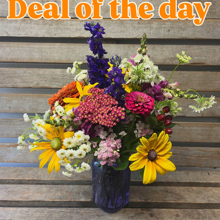 Summer mason jar ( asst color jar)