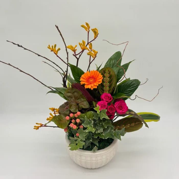 Asymmetrical arrangement with orange gerbera, hot pink roses, berries and foliage in a white ceramic pot