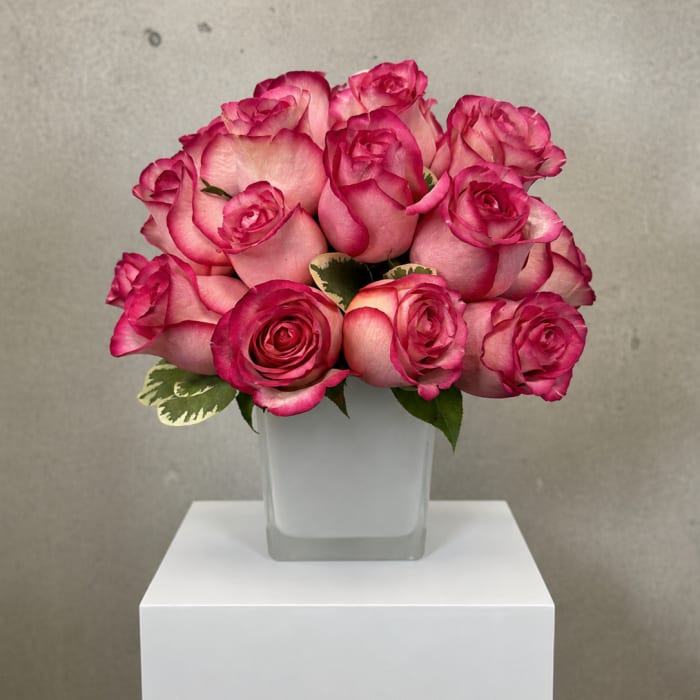 Pink roses arranged in a clear square vase