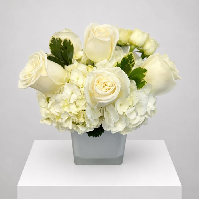 White rose and hydrangea arrangement in a square glass vase