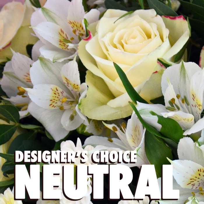 Neutral-toned arrangement with cream roses and white alstroemeria in a close-up view