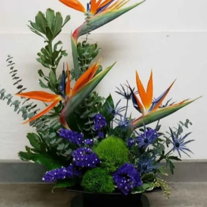 Tall tropical arrangement with orange bird of paradise and purple and green accent flowers in a low container