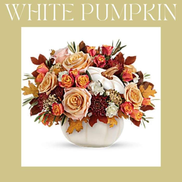 White Pumpkin Designer's Choice Arrangement