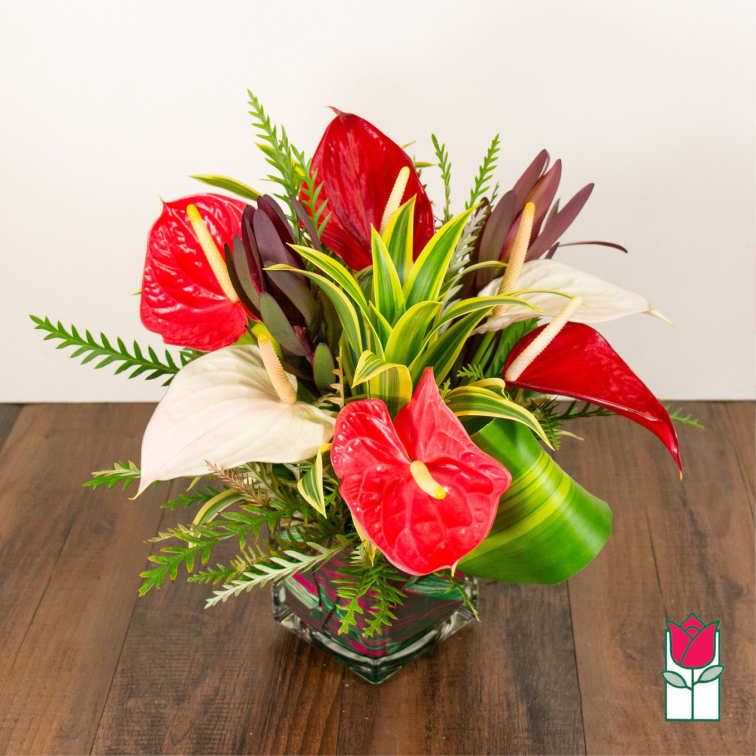 Tropical arrangement with red and white anthuriums in a glass vase
