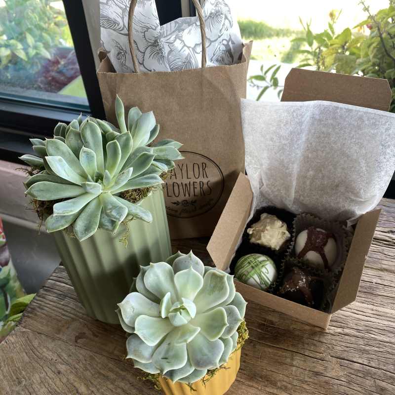 Two potted succulents and a box of chocolates on a wooden table