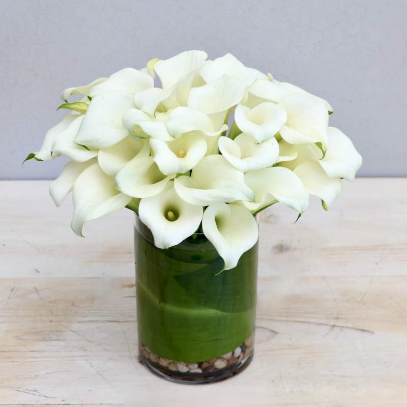 Calla Love - My Glendale Florist