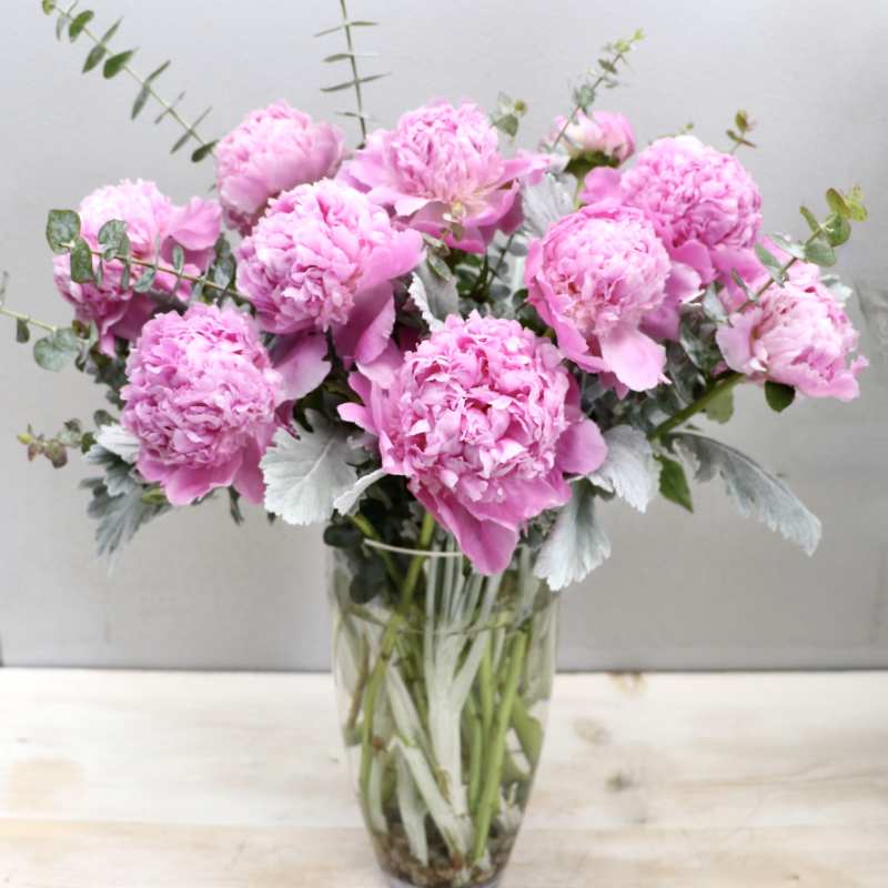 Peony Muse - MGF