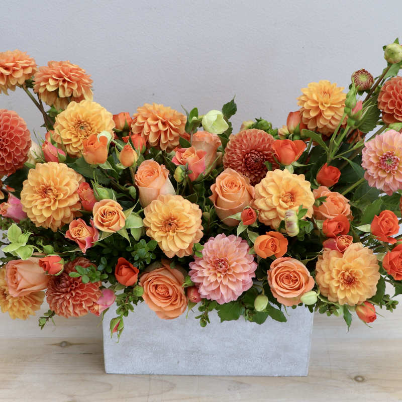 Low rectangular arrangement of orange dahlias and peach roses in a gray container