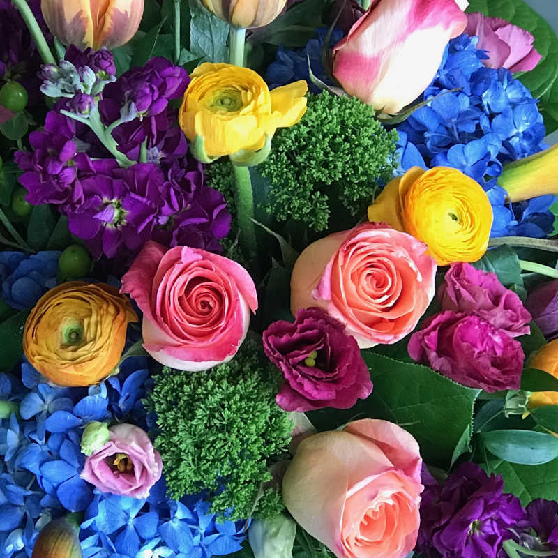 Colorful bouquet with roses, ranunculus, and blue hydrangeas