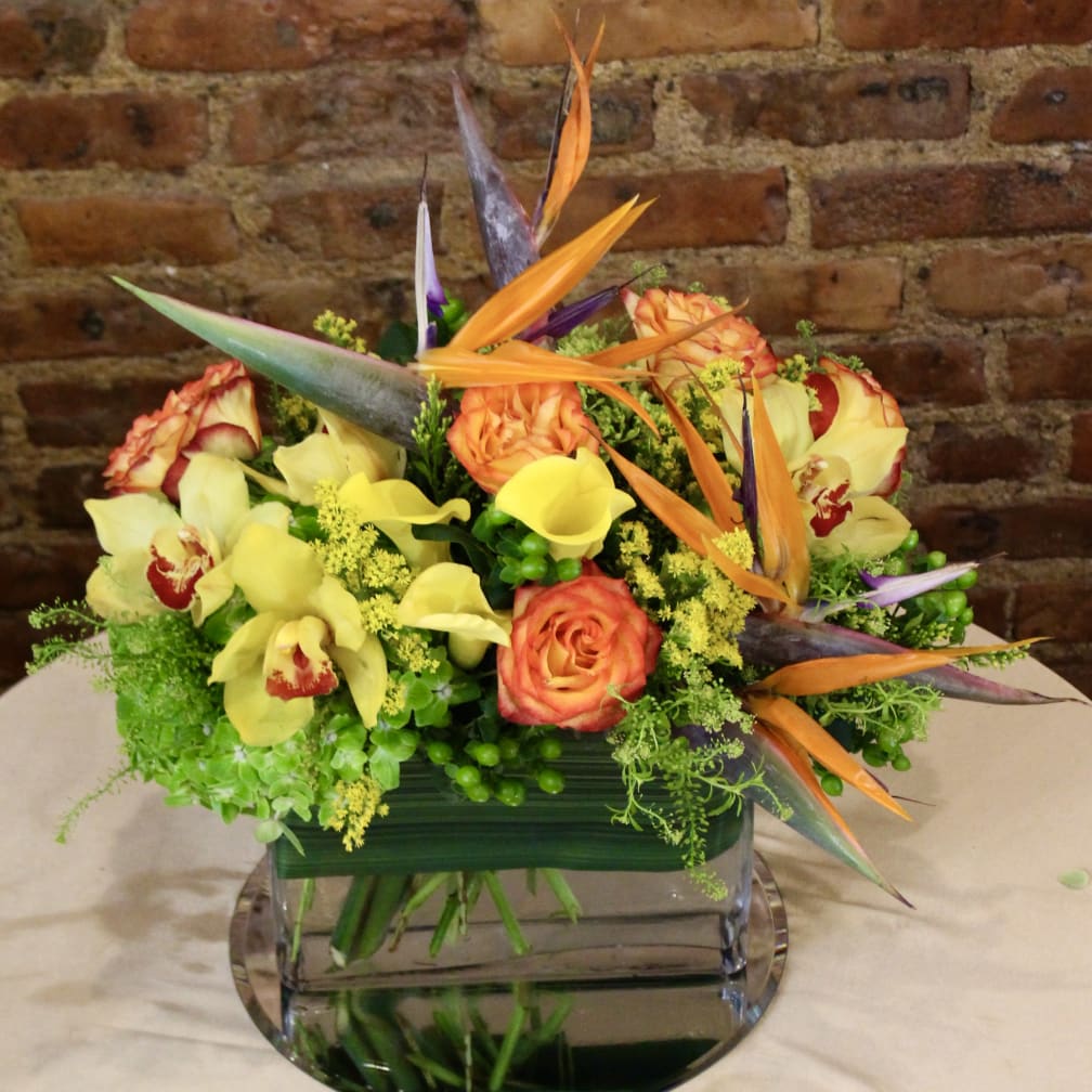 Florist Paradise Brooklyn Ny