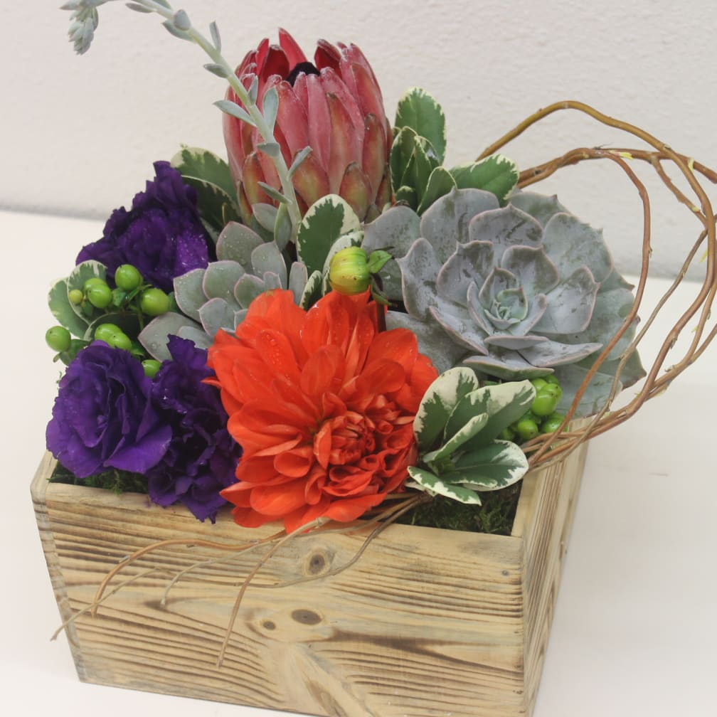 Anaheim Florist Flower Delivery by Visser's Florist & Greenhouses