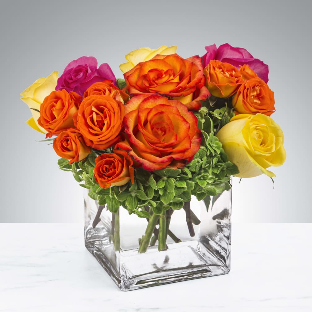 Jackson Florist Flower Delivery By A Daisy A Day Holiday inn express madison, madison. jackson florist flower delivery by a