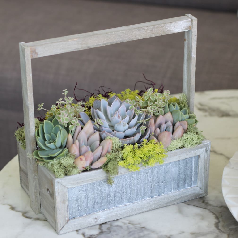 Irvine Florist Flower Delivery By Juicy Creations