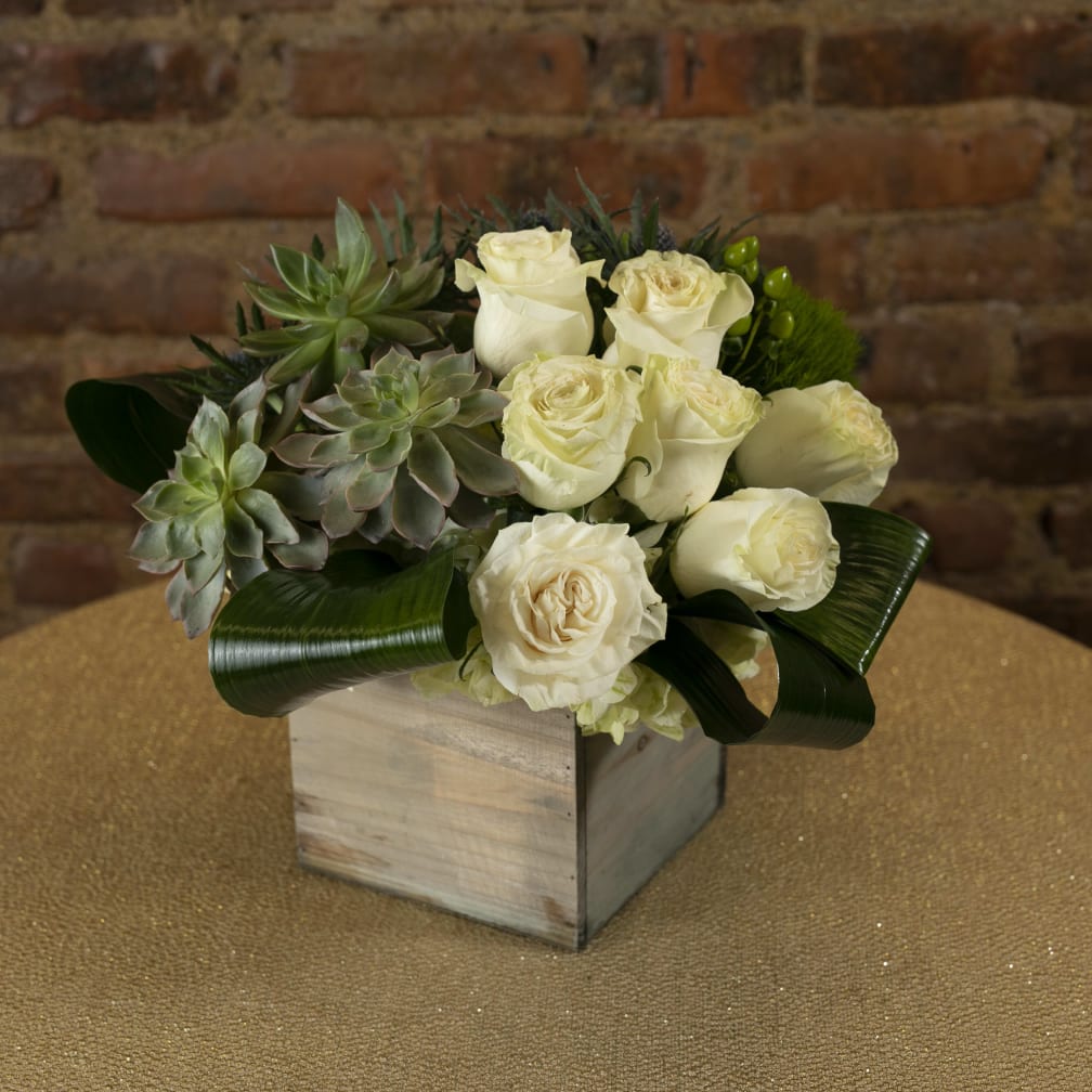 Succulents and Roses