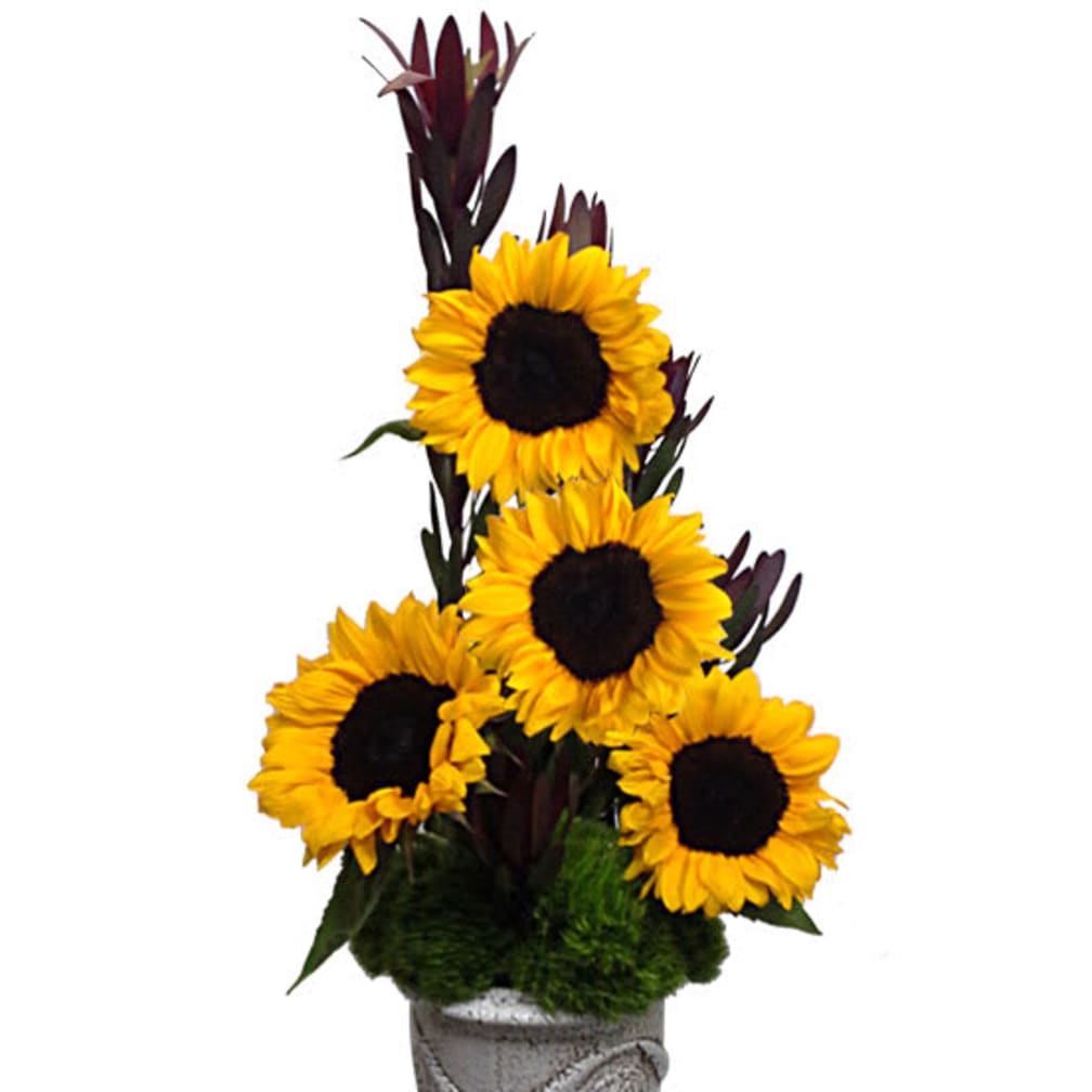 Scottsdale Florist Flower Delivery by Flowers by Coley Scottsdale