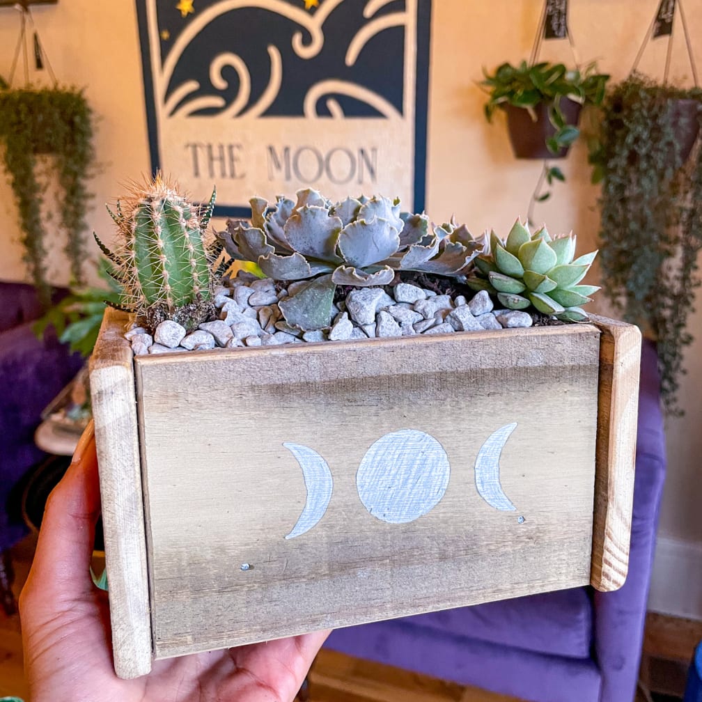 flowers delivered today tampa fl