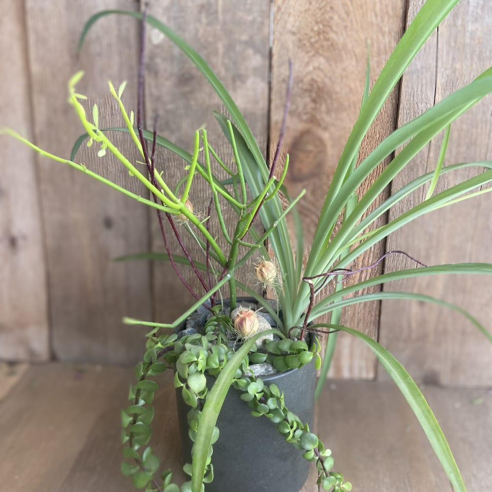 Arvada Florist Flower Delivery by Down Home Flowers