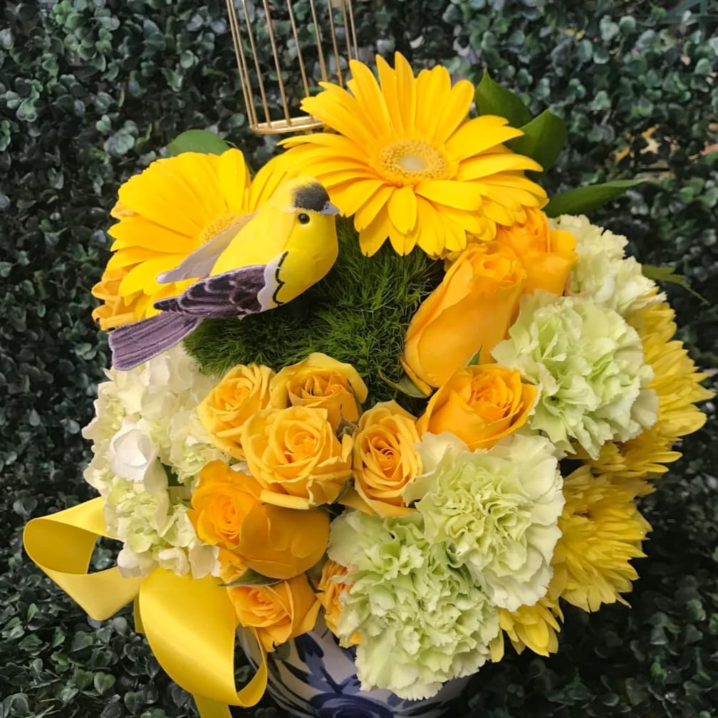 Montclair Florist Flower Delivery by Purple Lily by Karen