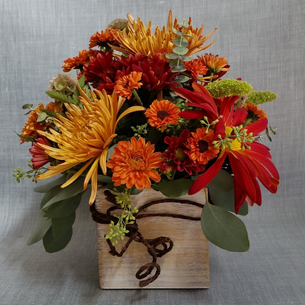 Watertown Florist Flower Delivery by Elegant Arrangements