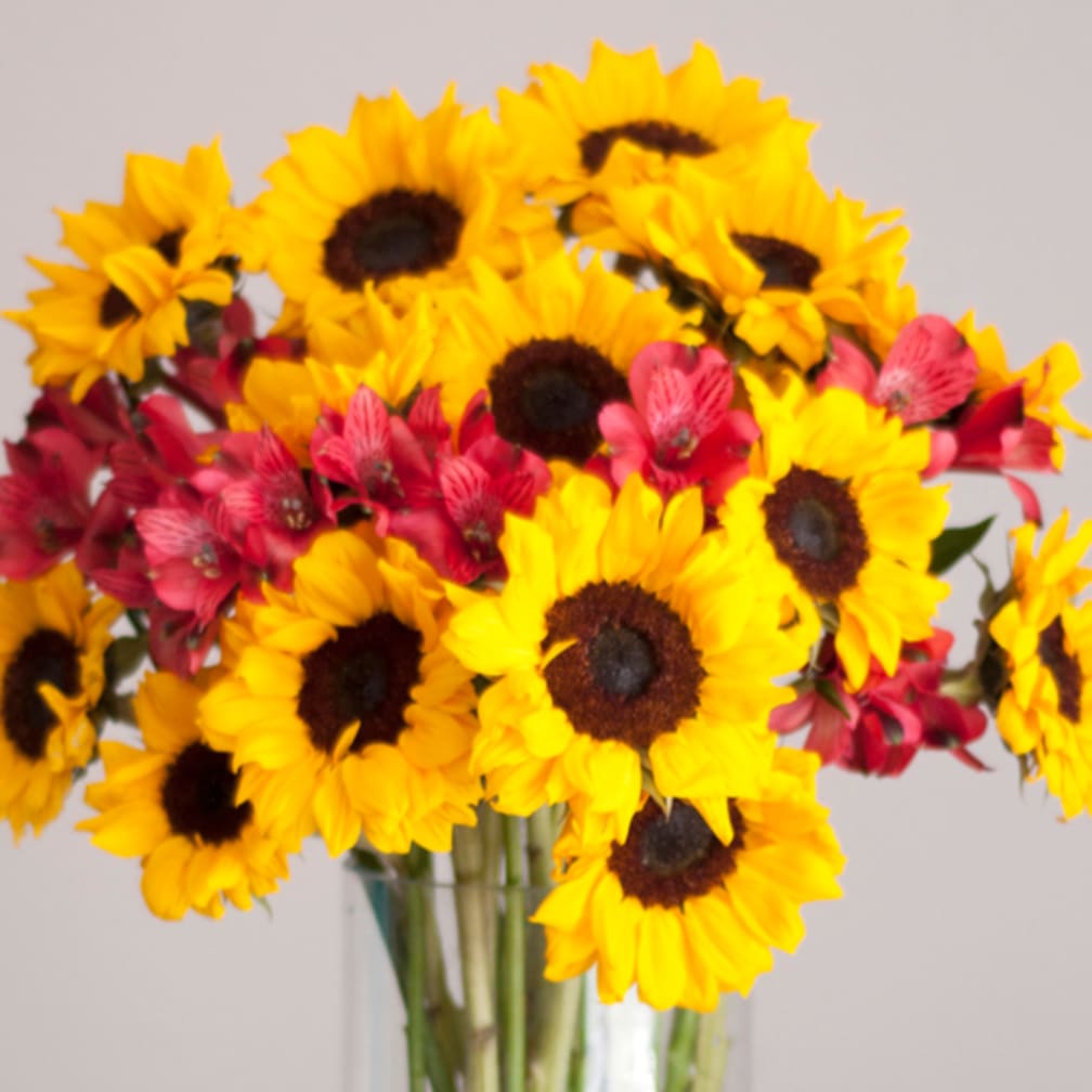 Kissimmee Florist Flower Delivery by The Bouquet Butler