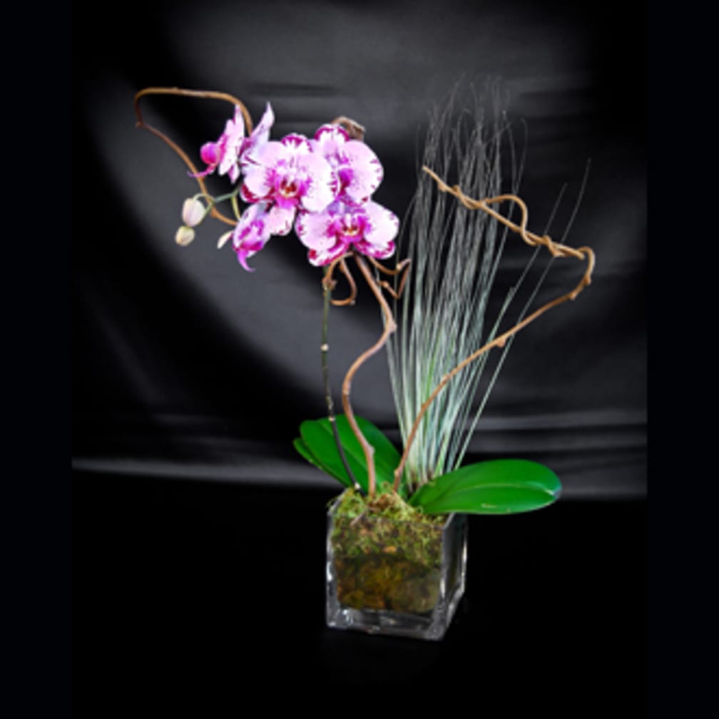 West Palm Beach Florist | Flower Delivery by Love's Flower ...