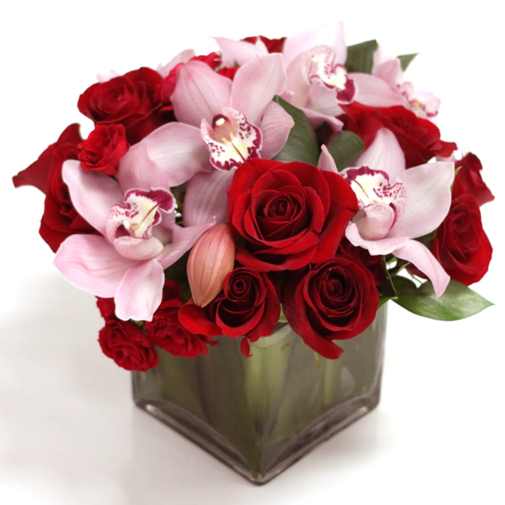 Dozen Red Valentine Roses In Square Vase In West Hollywood Ca Los Angeles Florist
