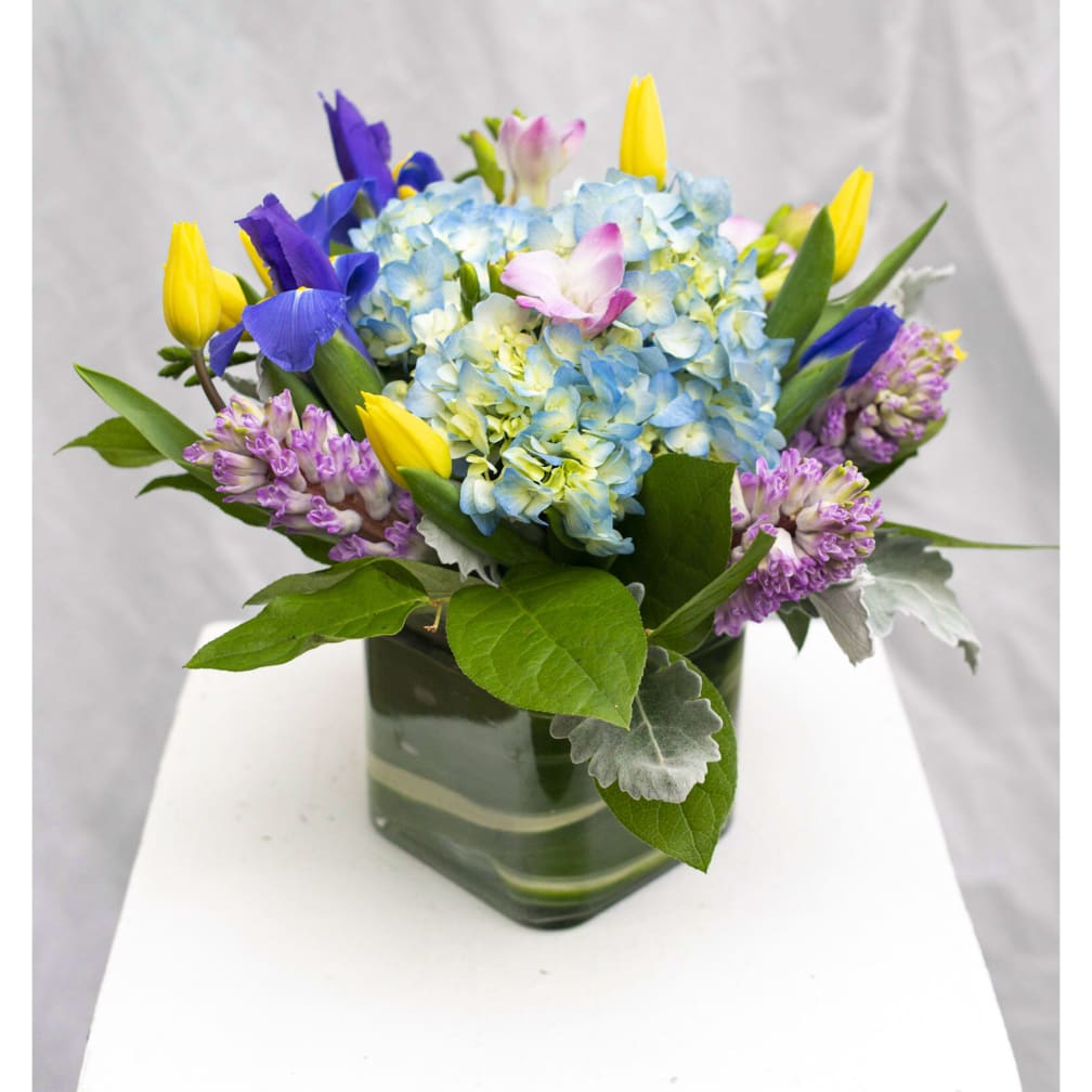 Darien Florist Flower Delivery by Springdale Florist & Greenhouses