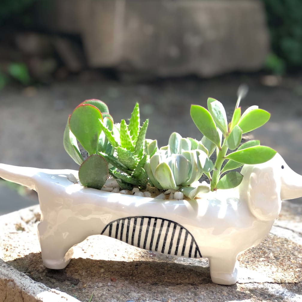 Natures Garden Delivered : naturesGarden - Natures Garden / Последние твиты от natures garden ...